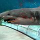 Illustration for article titled We Need More Games That Let You Play As Animals